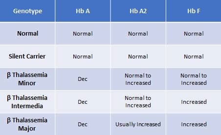 hemoglobin s beta thalassemia|Beta Thalassemia .